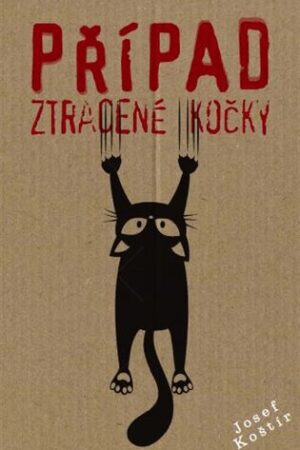 Případ ztracené kočky