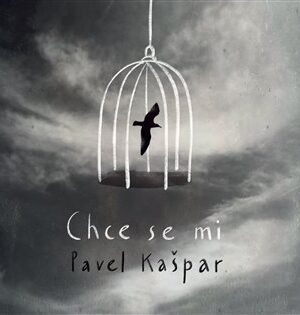Chce se mi