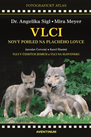 Vlci