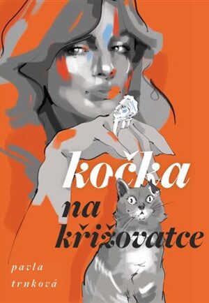 Kočka na křižovatce