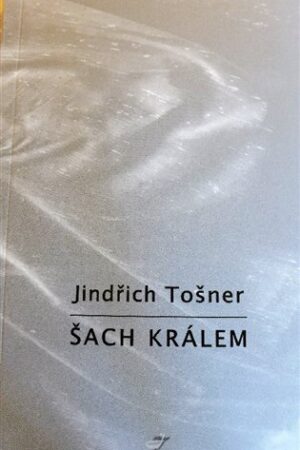 Šach králem