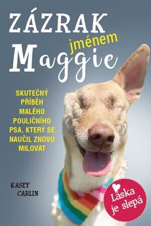 Zázrak jménem Maggie