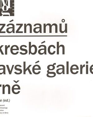 Možnosti záznamů