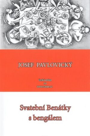 Svatební Benátky s bengálem