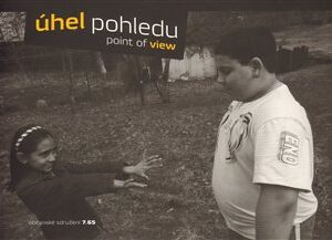 Úhel pohledu