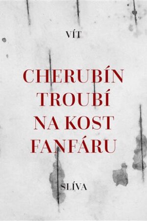Cherubín troubí na kost fanfáru