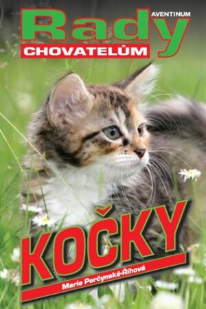 Kočky