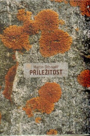 Příležitost