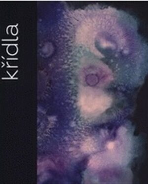 Křídla