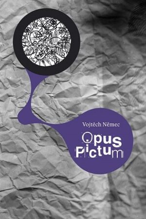 Opus Pictum