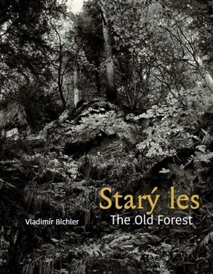 Starý les / The Old Forest