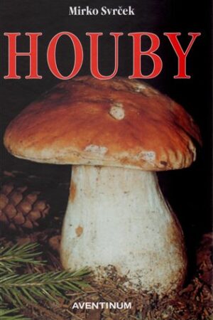Houby