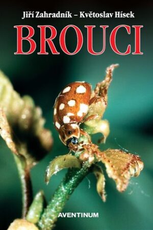 Brouci