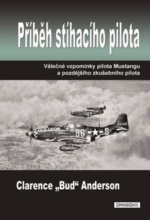 Příběh stíhacího pilota