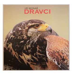 Dravci