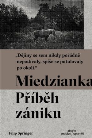 Miedzianka