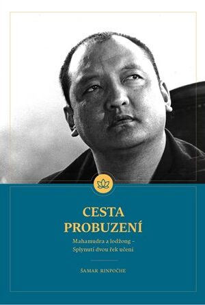 Cesta Probuzení