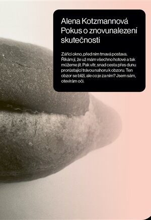 Pokus o znovunalezení skutečnosti