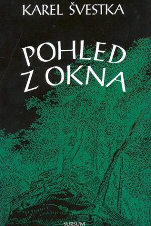 Pohled z okna