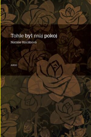 Tohle byl můj pokoj