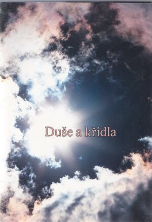 Duše a křídla