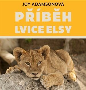 Příběh lvice Elsy