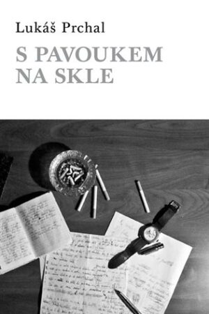 S pavoukem na skle