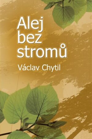 Alej bez stromů
