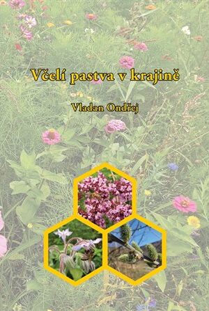 Včelí pastva v krajině