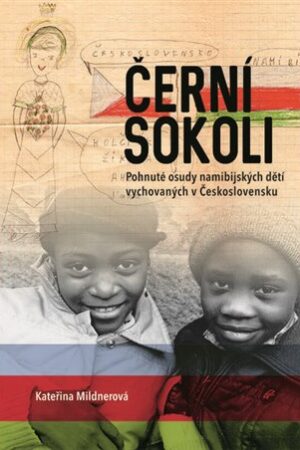 Černí sokoli