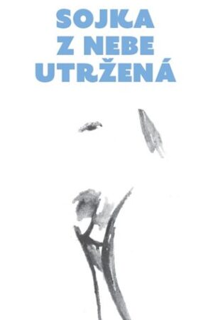 Sojka z nebe utržená