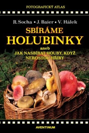 Sbíráme holubinky