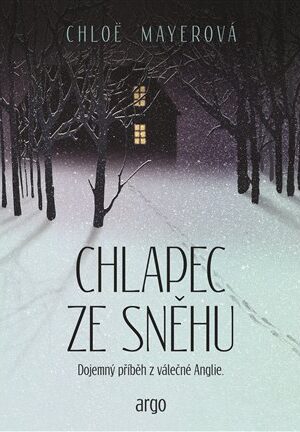 Chlapec ze sněhu