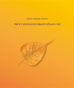 Třicet sedm rukoubraní Džinaputrů