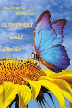 Slunovrat uvnitř slunečnic
