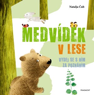 Medvídek v lese