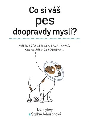 Co si váš pes doopravdy myslí