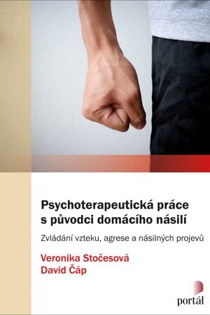 Psychoterapeutická práce s původci domácího násilí