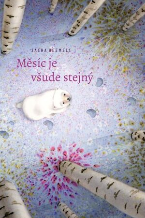 Měsíc je všude stejný