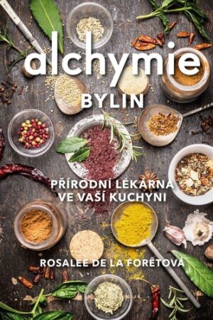 ALCHYMIE BYLIN