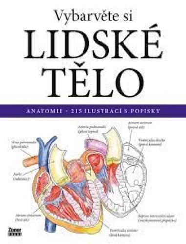 Vybarvěte si LIDSKÉ TĚLO