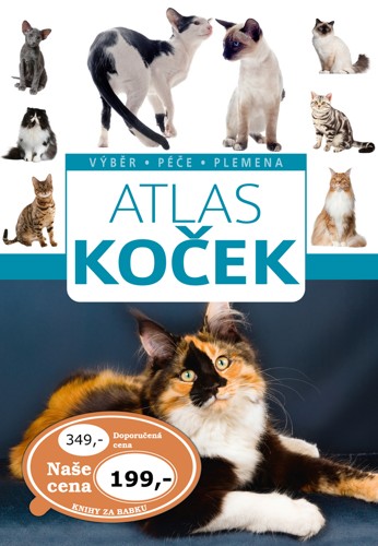 Atlas koček / Výběr, Péče, Plemena
