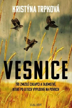 Vesnice