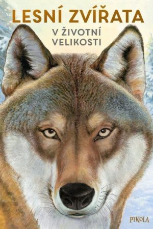 Lesní zvířata: V životní velikosti