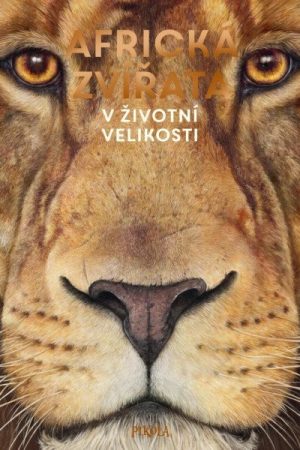 Africká zvířata: V životní velikosti