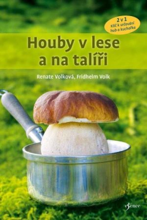 Houby v lese a na talíři