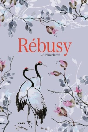 Rébusy