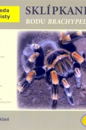 Sklípkani rodu Brachypelma - Abeceda teraristy