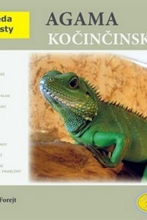 Agama kočinčinská - Abeceda teraristy