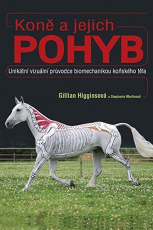 Koně a jejich pohyb